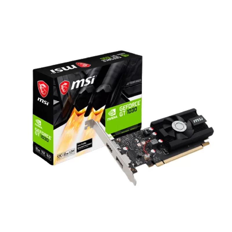 GT 1030 2GD4 LP OC-1